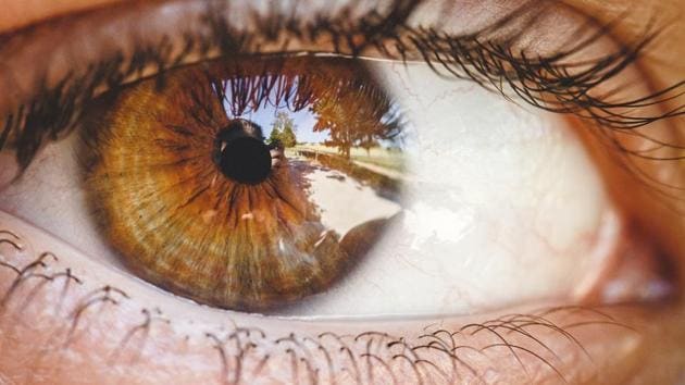 Retinal detachment is a disorder of the eye in which the retina separates from the layer underneath.(Shutterstock) Retinal detachment is a disorder of the eye in which the retina separates from the layer underneath.(Shutterstock)