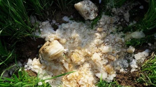 A solid ice cube like object said to be about eight kilogram in weight fell from the sky with loud thud in the wheat field. (HT Photo) A solid ice cube like object said to be about eight kilogram in weight fell from the sky with loud thud in the wheat field. (HT Photo)