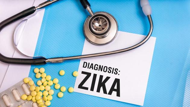 Zika virus disease is caused by a virus transmitted primarily by the Aedes mosquito. (Shutterstock) Zika virus disease is caused by a virus transmitted primarily by the Aedes mosquito. (Shutterstock)
