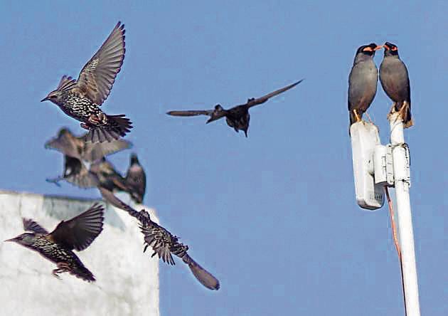 In December, the city received 13.8mm rain against normal of 23.4mm. In January, which has normal rainfall of 44.3mm, it hasn’t rained yet. (Sushil Prajapati/HT) In December, the city received 13.8mm rain against normal of 23.4mm. In January, which has normal rainfall of 44.3mm, it hasn’t rained yet. (Sushil Prajapati/HT)