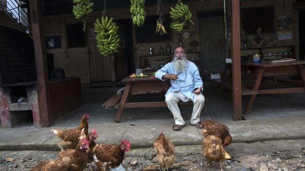 Padre Pablo, sits underneath bunches of bananas he has harvested, while feeding a flock of chickens. Sometimes the miners call him late into the night, haunted by images of friends buried alive under piles of collapsed sand or killed in river canoe accidents. “He’s there for the difficult moments,” said Juana Roque, 34, who lives in a mining camp with her husband and two children. (Rodrigo Abd / AP) Padre Pablo, sits underneath bunches of bananas he has harvested, while feeding a flock of chickens. Sometimes the miners call him late into the night, haunted by images of friends buried alive under piles of collapsed sand or killed in river canoe accidents. “He’s there for the difficult moments,” said Juana Roque, 34, who lives in a mining camp with her husband and two children. (Rodrigo Abd / AP)