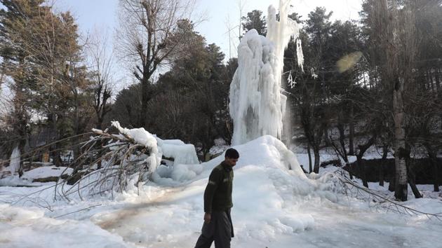 Icicles formed by a leaked water pipe on tree branches in Shopian, south of Kashmir. (File) Icicles formed by a leaked water pipe on tree branches in Shopian, south of Kashmir. (File)