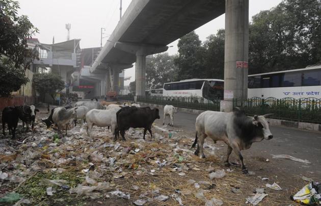 With scenes like these all too familiar in Lucknow, the LMC is out to get litterbugs. (HT File Photo) With scenes like these all too familiar in Lucknow, the LMC is out to get litterbugs. (HT File Photo)