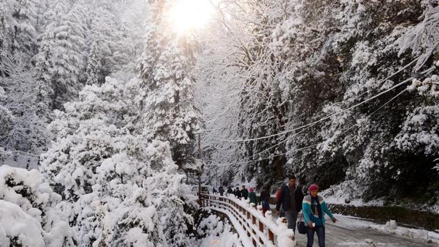 Shimla has a tradition of being snowed under around the new year or Christmas. (Deepak Sansta/HT) Shimla has a tradition of being snowed under around the new year or Christmas. (Deepak Sansta/HT)