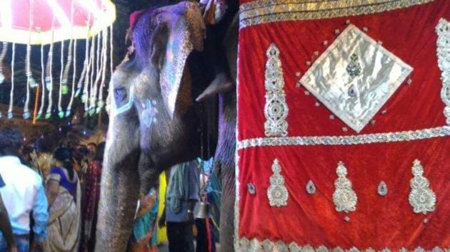 Laxmi the elephant Laxmi the elephant