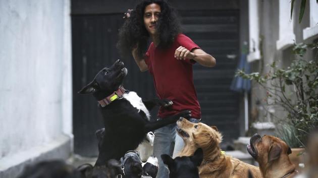 Jair Benavides plays with his dogs at their home and shelter in Mexico City. He runs the shelter with his wife, Miriam Gutierrez de Velasco. They go by their “dog family” nicknames of Jair Solcan and Miriam Luzcan, which respectively translate to “Sundog” and “Lightdog” in English. This unique shelter for dogs — and one pig — is struggling to get back on its feet after Mexico’s devastating earthquake four months ago. (Marco Ugarte / AP) Jair Benavides plays with his dogs at their home and shelter in Mexico City. He runs the shelter with his wife, Miriam Gutierrez de Velasco. They go by their “dog family” nicknames of Jair Solcan and Miriam Luzcan, which respectively translate to “Sundog” and “Lightdog” in English. This unique shelter for dogs — and one pig — is struggling to get back on its feet after Mexico’s devastating earthquake four months ago. (Marco Ugarte / AP)