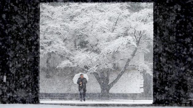 A man holding an umbrella makes his way through heavy snow at the Imperial Palace in Tokyo, Japan on January 22, 2018. (Kim Kyung-Hoon / REUTERS) A man holding an umbrella makes his way through heavy snow at the Imperial Palace in Tokyo, Japan on January 22, 2018. (Kim Kyung-Hoon / REUTERS)