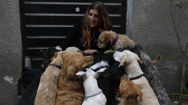Mariam caresses her dogs at their home in Mexico City. When the quake struck Mariam and her husband Jair had 54 dogs in their care. (Marco Ugarte / AP) Mariam caresses her dogs at their home in Mexico City. When the quake struck Mariam and her husband Jair had 54 dogs in their care. (Marco Ugarte / AP)