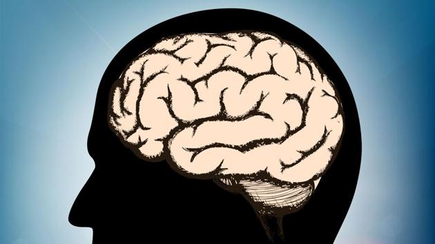 The discovery could lead to new, more targetted treatments for everything from the brain cancer to Alzheimer’s disease and schizophrenia.(Shutterstock) The discovery could lead to new, more targetted treatments for everything from the brain cancer to Alzheimer’s disease and schizophrenia.(Shutterstock)