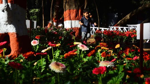 Children had a field day as many were seen trying to smell various flowers and were running around through the floral decorations to get a glimpse of each and every flower. (Shankar Narayan/HT PHOTO) Children had a field day as many were seen trying to smell various flowers and were running around through the floral decorations to get a glimpse of each and every flower. (Shankar Narayan/HT PHOTO)