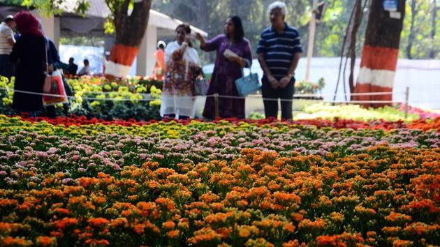 One of the many floral decorations at the flower show. (Shankar Narayan/HT PHOTO) One of the many floral decorations at the flower show. (Shankar Narayan/HT PHOTO)