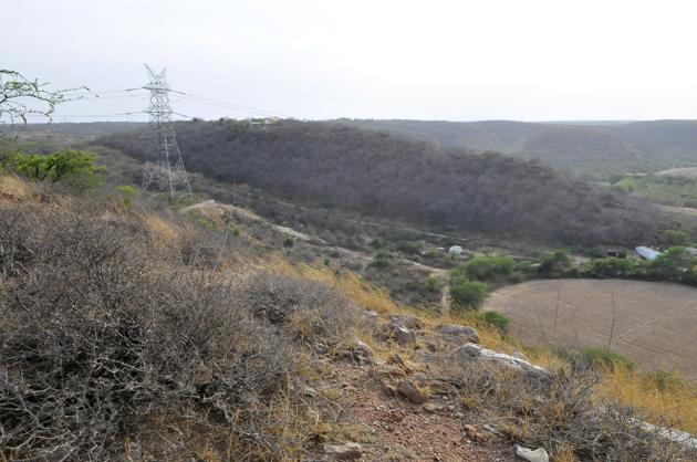 The tribunal is holding hearings on a petition claiming that deemed forest areas in the Aravallis are being encroached upon.(HT File) The tribunal is holding hearings on a petition claiming that deemed forest areas in the Aravallis are being encroached upon.(HT File)