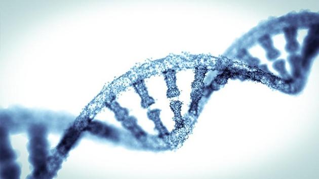 The scientists associated with the current study said additional research is needed before the data have clinical relevance for patients. (Shutterstock) The scientists associated with the current study said additional research is needed before the data have clinical relevance for patients. (Shutterstock)