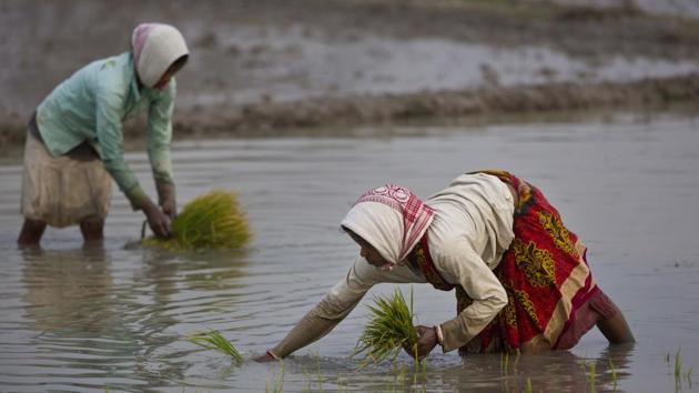 Jaitley also announced an increase in the allocation of National Rural Livelihood Mission to Rs 5,750 crore in 2018-19; a large portion of this goes towards providing loans to women Self Help Groups. (AP Photo) Jaitley also announced an increase in the allocation of National Rural Livelihood Mission to Rs 5,750 crore in 2018-19; a large portion of this goes towards providing loans to women Self Help Groups. (AP Photo)