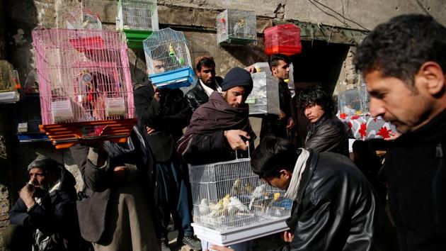 Bird vendors display canaries to buyers at the Ka Faroshi bird market in Kabul, Afghanistan. (Mohammad Ismail / REUTERS)