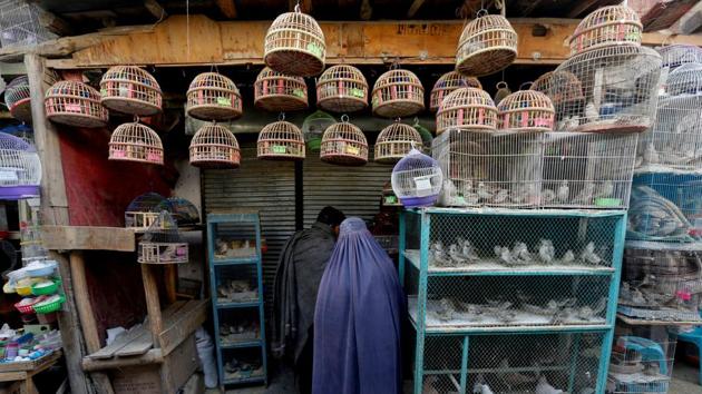 Customers, most men, but some blue burqa-clad women too, squeeze down the crowded street, stopping to inspect birds on display, haggle with shopkeepers and buy bird seed and other supplies. (Mohammad Ismail / REUTERS)