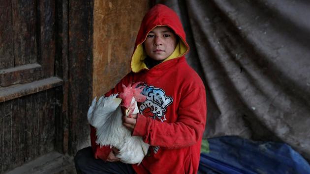 Farhad, 13, poses with his rooster for a photograph. Entering Kabul’s bird market is like stepping back in time a hundred years, to a city untouched by war or modernisation. (Mohammad Ismail / REUTERS)