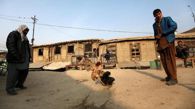 Men watch a cockfight at Ka Faroshi bird market in Kabul. In the market, fighting cocks and partridges squawk in bell-shaped wicker cages, while finches, larks and canaries of all varieties hop about in cages, and pigeons coo in small aviaries made of wire. (Mohammad Ismail / REUTERS)
