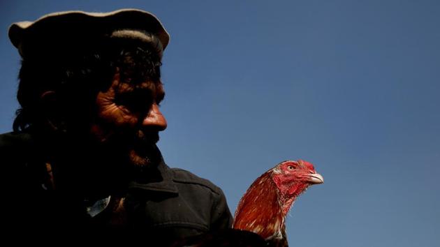 Sayed Mohammad Ali holds his rooster at the Ka Faroshi bird market in Kabul, Afghanistan. For some Afghans weighed down by decades of war and struggle, some comfort and distraction can be found in the company of birds. (Mohammad Ismail / REUTERS)