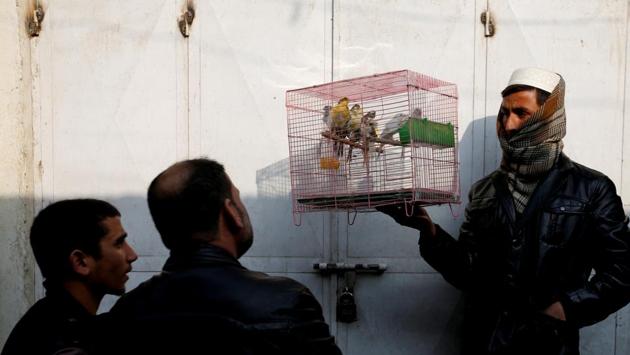 Some birds are imported from neighbouring countries, such as Iran and Pakistan, but traders said business was down, with few birds being imported these days. (Mohammad Ismail / REUTERS)