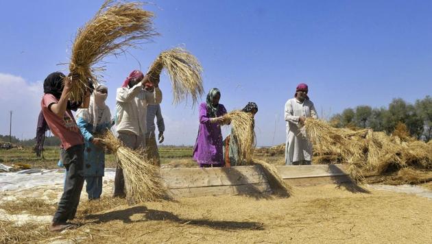 Jaitley said federally determined minimum support prices (MSPs) for summer-sown (kharif) crops this year would be set at 1.5 times the cost of cultivation.(HT File Photo)