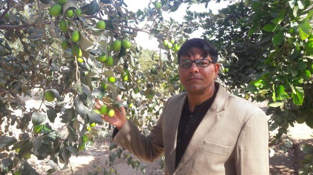 Professor Shyam Sunder Jyani has started a mass movement in western Rajasthan through the concept of familial forestry.(HT Photo.)