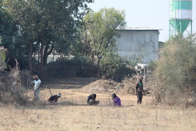 Villagers said a half-acre plot close to Mangar Bani is being fenced off by pitching poles and around 15 trees have been chopped.(HT PHOTO) Villagers said a half-acre plot close to Mangar Bani is being fenced off by pitching poles and around 15 trees have been chopped.(HT PHOTO)