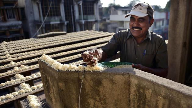 Over the years Sekar devised a system of thick wooden planks where he puts out nearly 30 kg of rice for the birds twice a day. The first meal is served early morning before daybreak and the second at evening. (R Senthil Kumar / PTI)