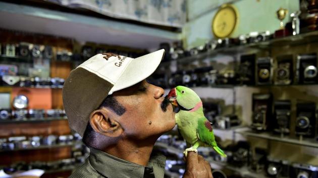 Sekar says that while he might personally bear foregoing a meal, when it comes to his avian guests, he makes sure they never have to return with an empty stomach. (R Senthil Kumar / PTI)