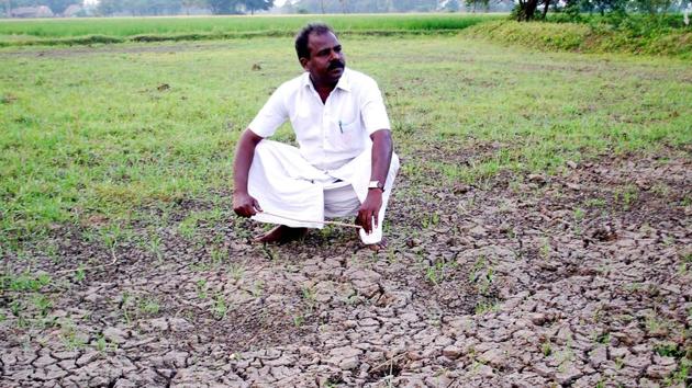 Tamil Nadu farmer NC Kannan says he has been incurring losses of over Rs 1 lakh for the past six years due to Karnataka not releasing Cauvery water. (S Raja/HT Photo) Tamil Nadu farmer NC Kannan says he has been incurring losses of over Rs 1 lakh for the past six years due to Karnataka not releasing Cauvery water. (S Raja/HT Photo)