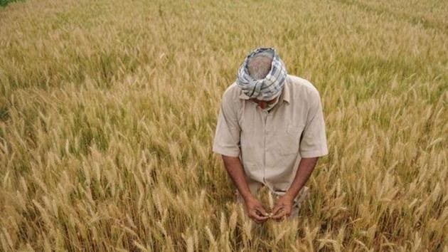 A debt relief scheme for farmers was implemented across India during the UPA regime.(HT)