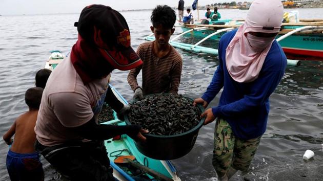 And while life is hard, people get by, with men jumping from one informal job to the next, such as scavenging or unloading fish from trawlers. Scarcity fuels desperation and the desperate turn to crime, or dealing and using drugs, mostly “shabu”, the methamphetamine Duterte says could destroy a generation of Filipinos. (Dondi Tawatao / REUTERS) And while life is hard, people get by, with men jumping from one informal job to the next, such as scavenging or unloading fish from trawlers. Scarcity fuels desperation and the desperate turn to crime, or dealing and using drugs, mostly “shabu”, the methamphetamine Duterte says could destroy a generation of Filipinos. (Dondi Tawatao / REUTERS)