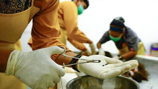 A Centre for Orangutan Protection (COP) activist showing a projectile removed from the body of a male orangutan in Bontang, East Kalimantan, which showed signs of a machete attack after it was found by villagers in Borneo's East Kutai district. (AFP Photo) A Centre for Orangutan Protection (COP) activist showing a projectile removed from the body of a male orangutan in Bontang, East Kalimantan, which showed signs of a machete attack after it was found by villagers in Borneo's East Kutai district. (AFP Photo)