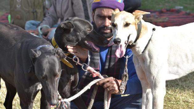 Kerala says it is considering a comprehensive law for pet dogs as there have been reports of attacks against people.(HT/Photo for representational purpose)