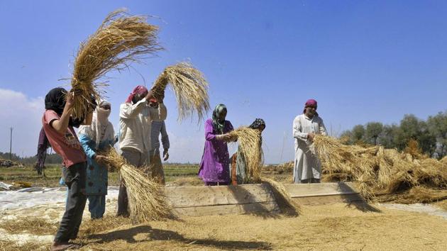 Non-farm incomes in rural areas are also not growing fast enough to make the desired impact on poverty and income distribution (HT) Non-farm incomes in rural areas are also not growing fast enough to make the desired impact on poverty and income distribution (HT)