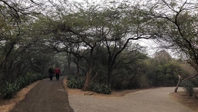 Take a walk in the Jahanpanah City Forest for a break from the common city sights. (Mayank Austen Soofi / HT Photo) Take a walk in the Jahanpanah City Forest for a break from the common city sights. (Mayank Austen Soofi / HT Photo)