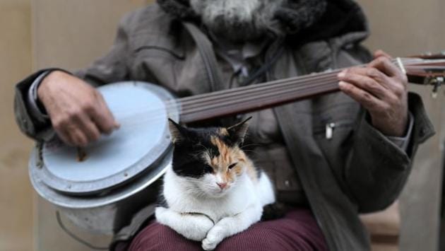 A cat sits on the lap of a street singer. “Money is not an issue to some people when it comes to cats,” said Ozan, a pet shop employee. “They take in cats with broken legs, blind ones or ones with stomach problems and bring them to the clinic. When they see that they are healed, they let them live on the street again.” (Goran Tomasevic / REUTERS) A cat sits on the lap of a street singer. “Money is not an issue to some people when it comes to cats,” said Ozan, a pet shop employee. “They take in cats with broken legs, blind ones or ones with stomach problems and bring them to the clinic. When they see that they are healed, they let them live on the street again.” (Goran Tomasevic / REUTERS)