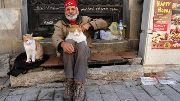 Necati, who makes his living collecting paper for recycling, steams chicken every morning that he hangs from the side of his cart. As he wends his way through Istanbul, he feeds strays. (Goran Tomasevic / REUTERS) Necati, who makes his living collecting paper for recycling, steams chicken every morning that he hangs from the side of his cart. As he wends his way through Istanbul, he feeds strays. (Goran Tomasevic / REUTERS)