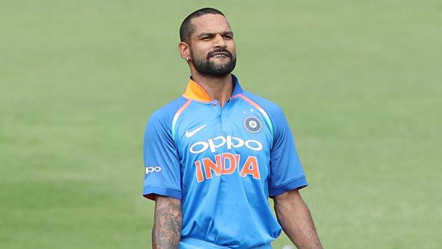 Dhawan held one end and completed his 13th ODI century.  (BCCI ) 