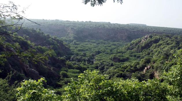 Union Environment Minister Harsh Vardhan said India stands 10th in the world in terms of forest area and eighth in terms of annual forest gain. (HT File Photo) Union Environment Minister Harsh Vardhan said India stands 10th in the world in terms of forest area and eighth in terms of annual forest gain. (HT File Photo)