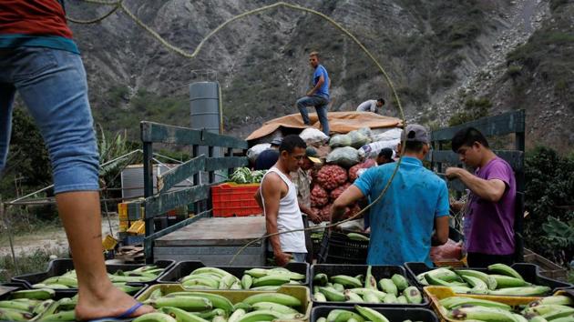 Even once Andean truckers reach cities, there is no respite. Armed gangs often charge them for safe passage and permission to set up markets. These dangers in a country with one of the world’s highest murder rates are pushing up transport and food costs in an already hyperinflationary environment, as well as stifling movement of goods in the nation. (Carlos Garcia Rawlins / REUTERS) Even once Andean truckers reach cities, there is no respite. Armed gangs often charge them for safe passage and permission to set up markets. These dangers in a country with one of the world’s highest murder rates are pushing up transport and food costs in an already hyperinflationary environment, as well as stifling movement of goods in the nation. (Carlos Garcia Rawlins / REUTERS)