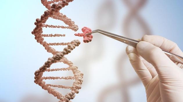 Researchers think they can improve gene therapy treatment and are trying again to tackle HIV by doctoring DNA. New studies to test these tweaked approaches in people are getting underway. (Shutterstock) Researchers think they can improve gene therapy treatment and are trying again to tackle HIV by doctoring DNA. New studies to test these tweaked approaches in people are getting underway. (Shutterstock)