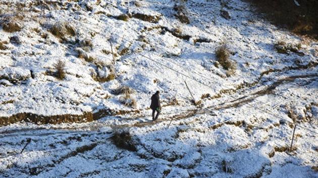 A man walks a trail after snowfall in Dharamshala. This Himalayan town, which is dependent on snow-fed water bodies for most of its water requirements, has seen very little snow this year. (Ashwini Bhatia / AP)