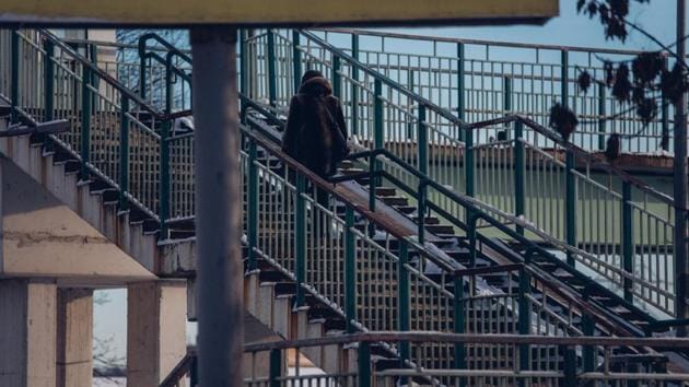 Climbing stairs may offer them the benefits of both aerobic and resistance exercise.(Shutterstock)