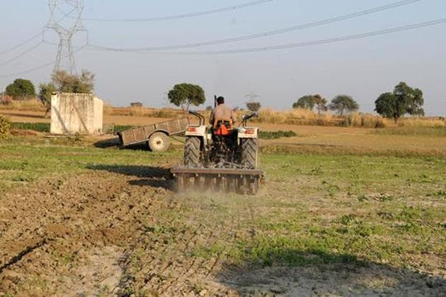 Minimum Support Prices have a limited role in addressing farmers’ distress. (HT File Photo) Minimum Support Prices have a limited role in addressing farmers’ distress. (HT File Photo)