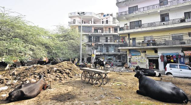 Residential area at Lado Sarai in New Delhi.(Sanchit Khanna/HT PHOTO)