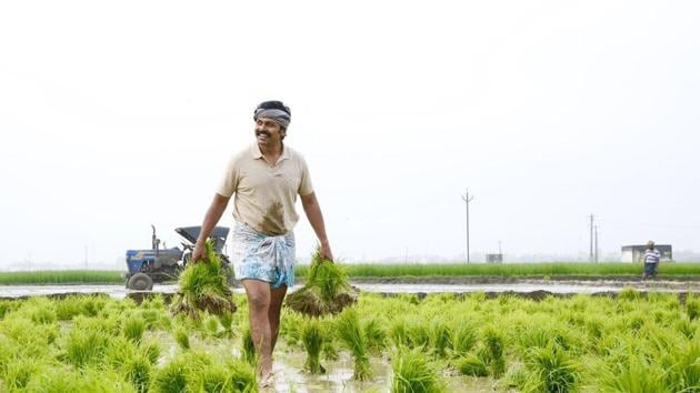 Karthi’s rural look in Kadai Kutty Singam.