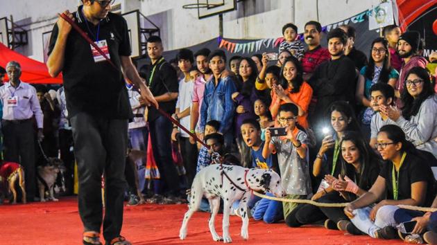 The canines also took part in a ramp walk with their owners. (Sanket Wankhade/HT PHOTO) 