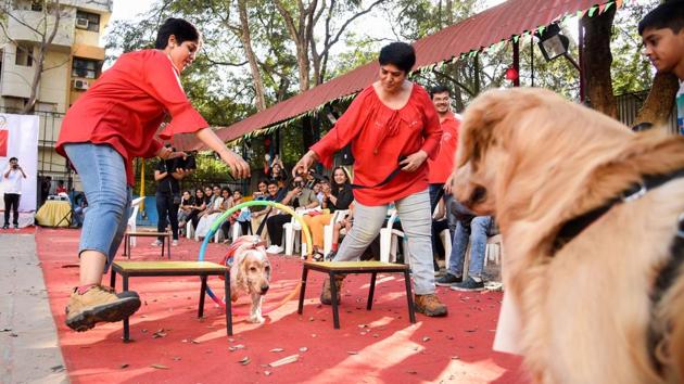 The owners had a blast helping their dogs reach the end of the course, fighting their way through the ‘obstacles’ as a team. (Sanket Wankhade/HT PHOTO) 