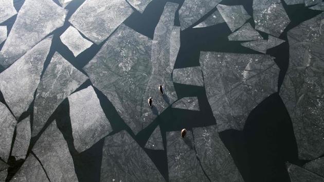 Ducks sit on broken ice sheets floating on the Wannsee lake in Berlin, Germany. (Ralf Hirschberger / AFP) Ducks sit on broken ice sheets floating on the Wannsee lake in Berlin, Germany. (Ralf Hirschberger / AFP)